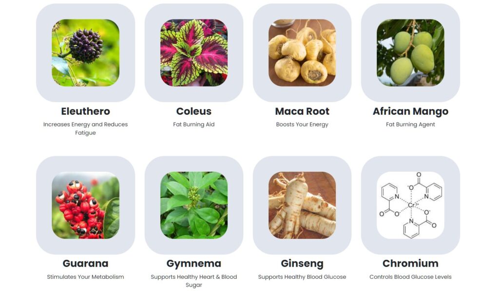 Sugar Defender Drops Reviews — Mastering Blood Sugar Balance