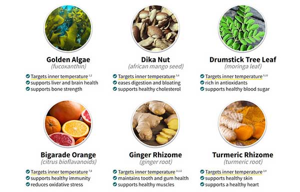 Alpilean Reviews - An Analysis of This Weight Management Supplement