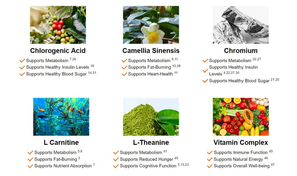 Java Burn Customer Reviews And Feedback — Healthiest Hub