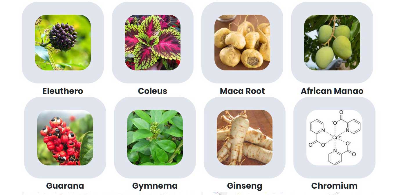 Sugar Defender Review - A Look at This Blood Sugar Support Formula