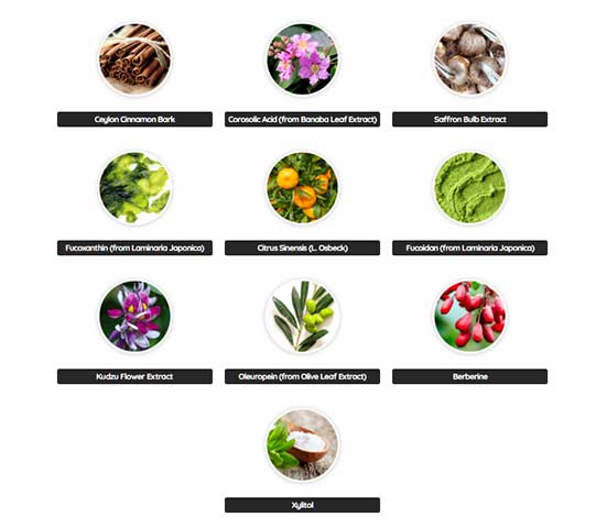 Lean Bliss Review - Examining the Safety and Ingredients of This Supplement